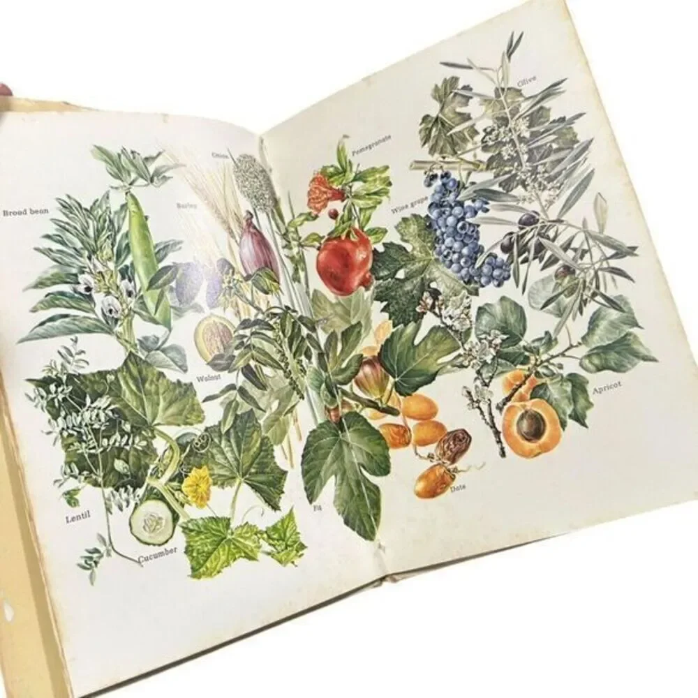 Plants of the‎ Bible  (1st Ed) by Louis Untermeyer, Anne Orphelia Dowden